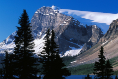 留學加拿大，文書怎么寫？