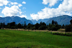 本科留學新西蘭，有哪些前景不錯的熱門專業(yè)？