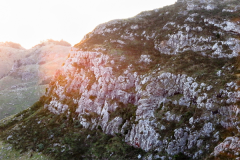 哪些因素吸引你申請新西蘭本科留學？