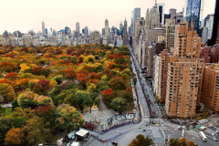 美國(guó)大學(xué)生物化學(xué)專(zhuān)業(yè)是什么？就業(yè)前景怎么樣