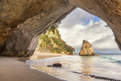 新西蘭留學本科，你適合讀語言班嗎？