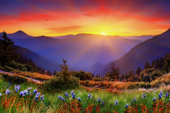 作為旅游大國，新西蘭還有哪些熱門專業？