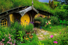 新西蘭有哪些發展前景不錯的熱門專業（一）