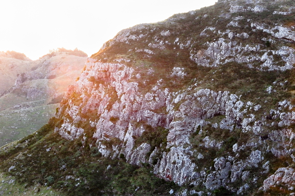 留學澳洲碩士，專業(yè)選擇可以參考哪些依據(jù)？