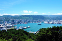 新西蘭留學如何進行專業選擇？