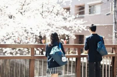 去日本留學都需要準備一些什么東西