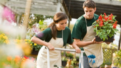 出國一年在美國留學期間，打工需要注意那些事