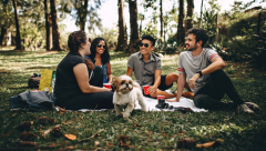 為什么要選擇出國留學？