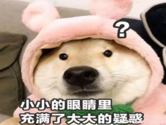 雅思vs托福vs四六級vs...誰含金量最高？