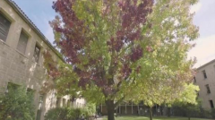 這里有一份英國留學指南，請注意查收