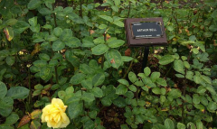 英國留學(xué)怎樣申請