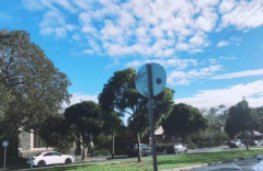 澳洲留學條件全面解析