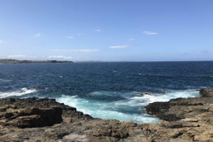 赴澳留學，只要了解了這些，澳洲高校不是夢