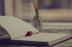 各國出國留學碩士申請條件解讀