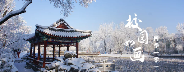 最新！101國際部可提交報名申請，招生人數提至140人