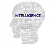 背景提升|藤校科研項(xiàng)目人類智力起源與本質(zhì)探究