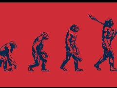 背景提升|藤校科研終身教授項(xiàng)目進(jìn)化心理學(xué)