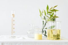 為什么越來越多的人愿意去新西蘭留學？去新西蘭留學有什么好處？