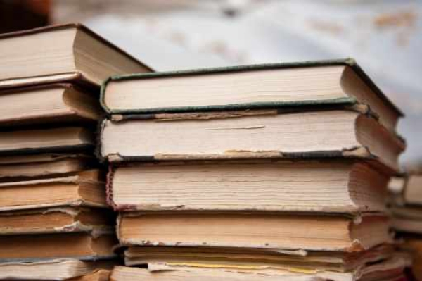 新西蘭留學(xué)—四大熱門專業(yè)就業(yè)解析