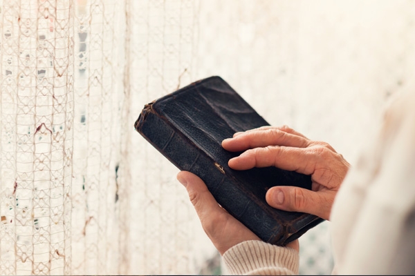 最友好國家-新西蘭